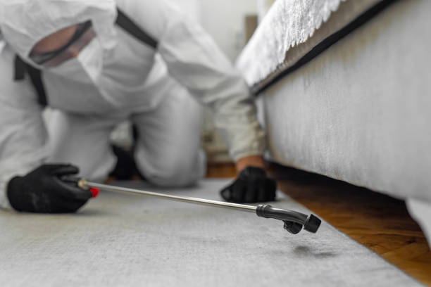 Professional Bed Bug Control technician working in Moreno Valley, CA