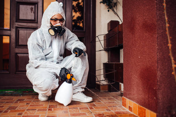 Reliable Bed Bug Control contractor in Moreno Valley, CA by Nex Pest Control