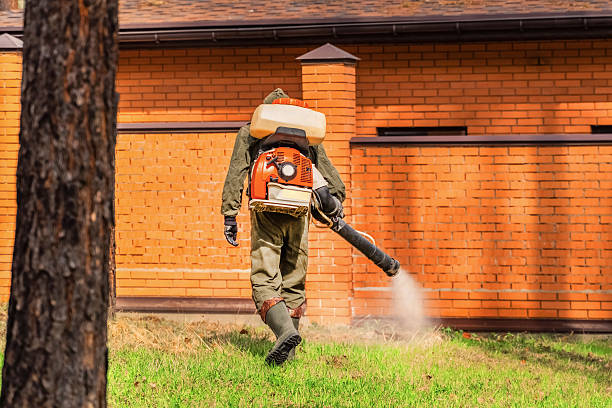 Trusted Rodent Control service in Moreno Valley, CA - Nex Pest Control